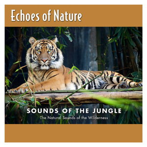 逼逼爱插插乐享网
